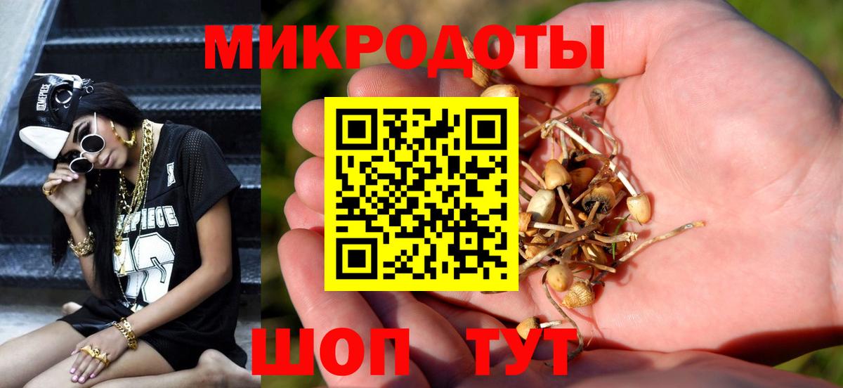Галлюциногенные грибы Cubensis Саянск