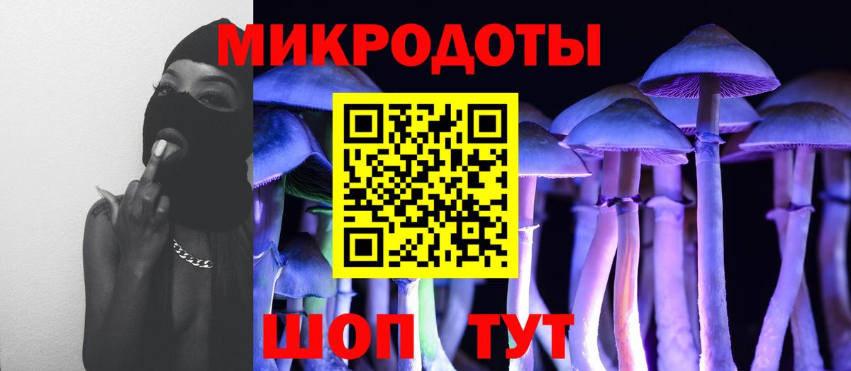 Саянск  Галлюциногенные грибы Psilocybine cubensis  Вход с VPN 